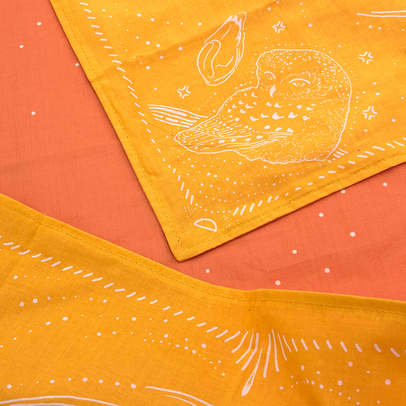 My Friend Fire Reading Cloth - Double Sided!