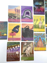 Load image into Gallery viewer, Song of the Grandmothers Oracle Wholesale 10 Decks
