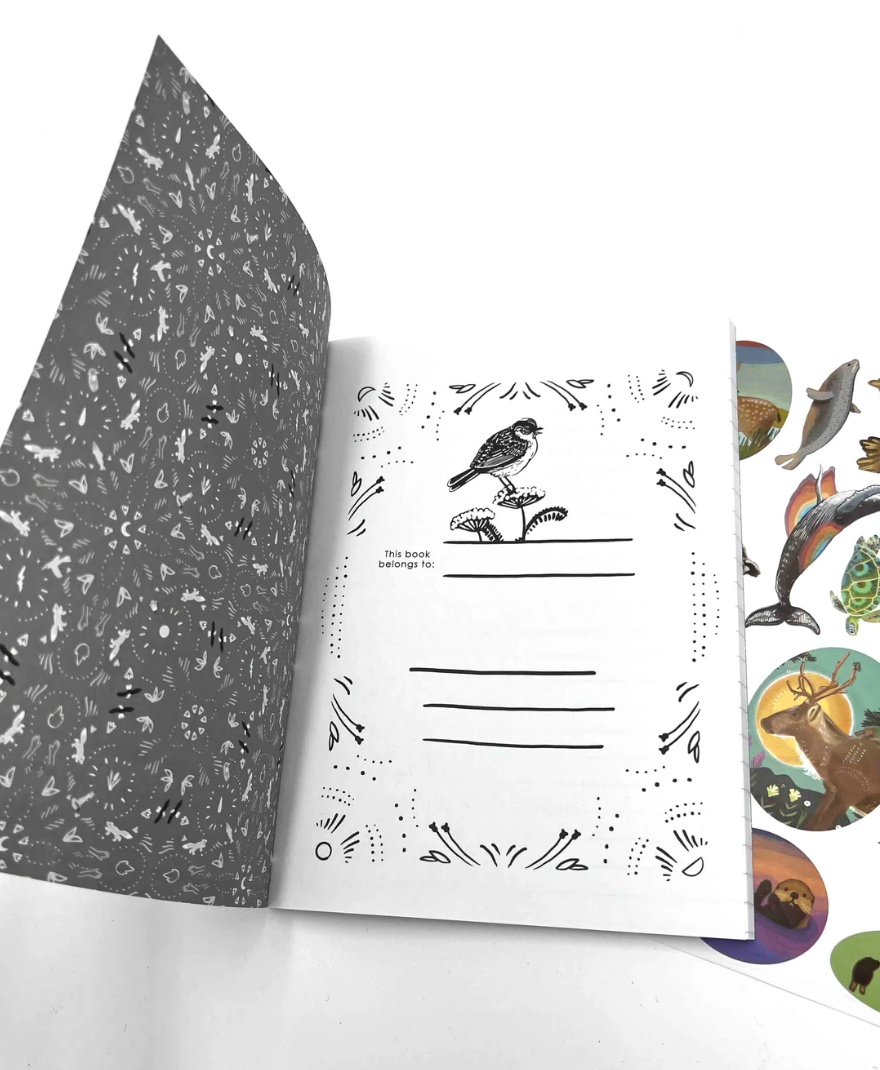 POCKET DECK GIFT SET!