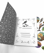 POCKET DECK GIFT SET!