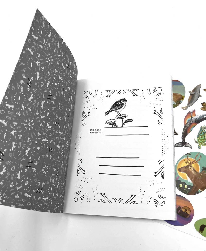 POCKET DECK GIFT SET!