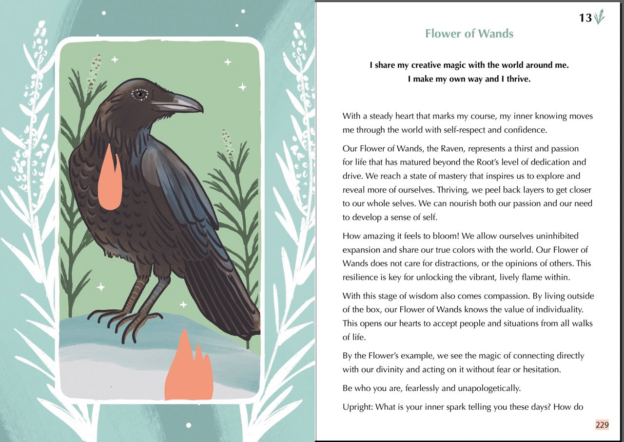 PRE-ORDER GENTLE TAROT GUIDEBOOK SECOND EDITION