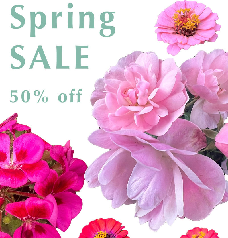 ⭐️ 50% OFF SETS - ENDS MAY 16th